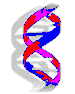 DNA symbol animation