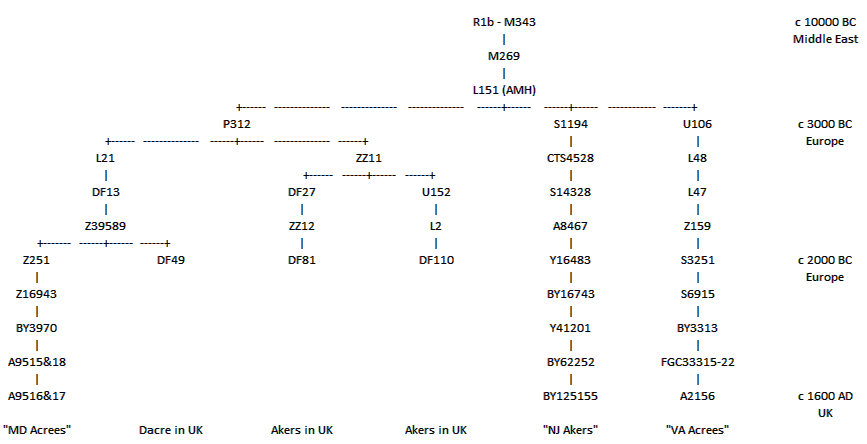 Acree Project Y-SNP Tree